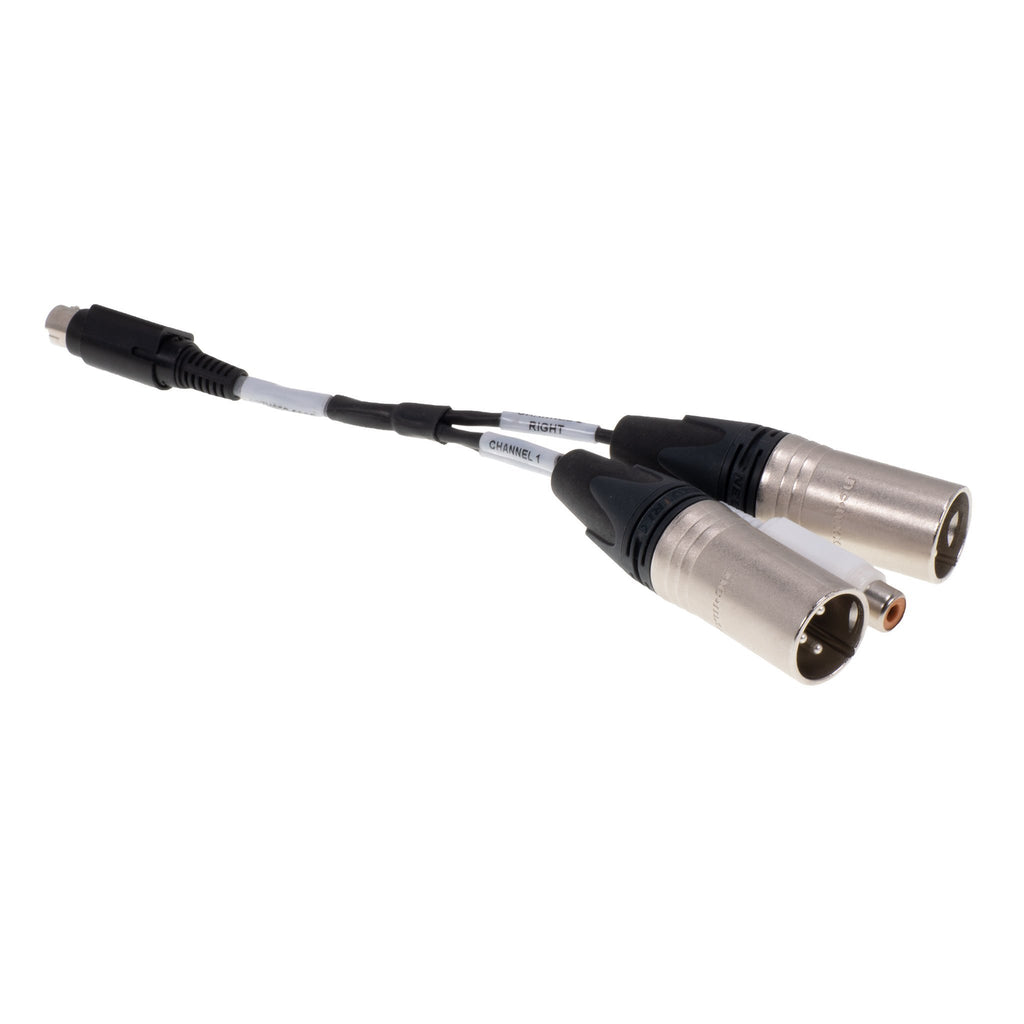 CAVO PROFESSIONALE 2 2 RCA DOPPIO CANALE DX SX DESTRO SINISTRO 30 CAVO PROFESSIONALE 2 2 RCA DOPPIO CANALE DX SX DESTRO SINISTRO 30